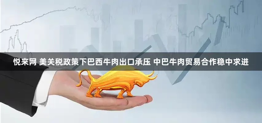 悦来网 美关税政策下巴西牛肉出口承压 中巴牛肉贸易合作稳中求进