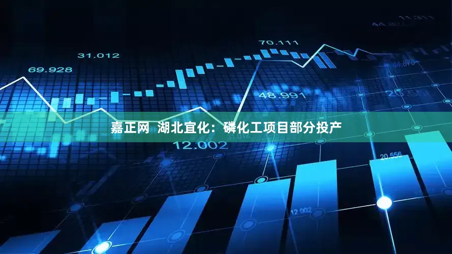 嘉正网  湖北宜化：磷化工项目部分投产