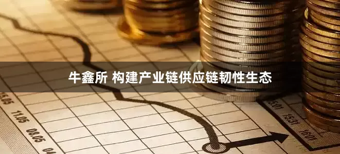 牛鑫所 构建产业链供应链韧性生态