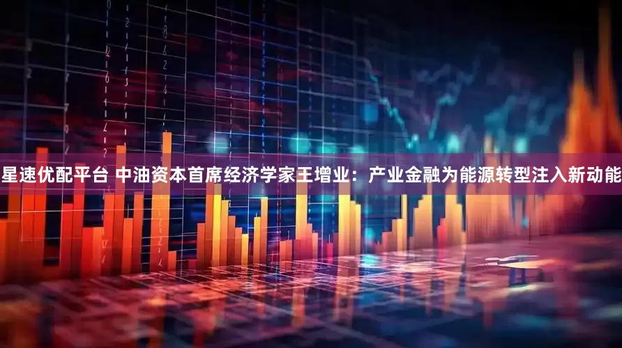 星速优配平台 中油资本首席经济学家王增业：产业金融为能源转型注入新动能