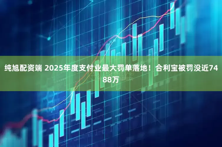 纯旭配资端 2025年度支付业最大罚单落地！合利宝被罚没近7488万