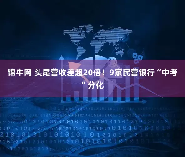锦牛网 头尾营收差超20倍！9家民营银行“中考”分化